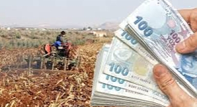 Tarlanızda bağ ve bahçenizde bunu yaparsanız para desteği yapılacak