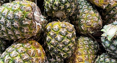 Ananas Fiyatları anans sevenleri üzecek