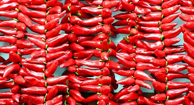 Biberin tadı acı fiyatı daha acı