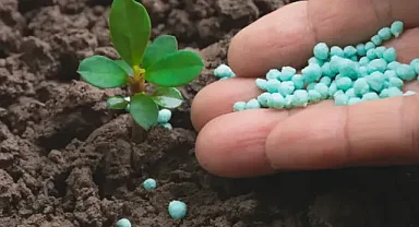 Yaban Mersini Nasıl ve Ne Zaman Gübrelenir?