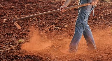 Arpa ve buğdayda Çiftçilerin İBAN'larına Doğrudan Ödeme yapıldı