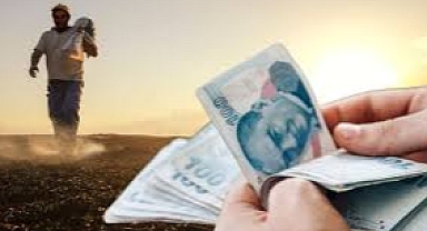 Toplam 5 dekar ve altı üretim yapan çiftçilere ödeme yapılacak! Başvurular başladı