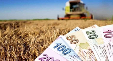 2025 Kırsal Kalkınma Yatırımlarında Hibe Desteği Başvuruları Başladı
