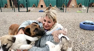 Ankara'da Sokak Hayvanları Derneği Skandalı