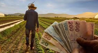 Buğday, arpa, Hububat paraları İçin Gözler 28 Şubat'ta! İşte Ödeme Beklenen İller