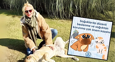Derin Mermerci'nin Liderliğinde 