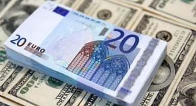 Döviz Piyasasında Dalgalanma: 28 Şubat Güncel Dolar ve Euro Kuru