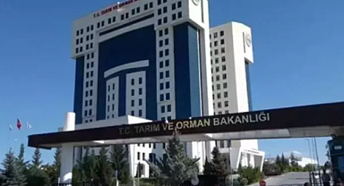 Tarım ve Orman Bakanlığı 8.500 Personel Alımı 2025: Başvuru Tarihleri ve Şartları