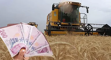 **2024 Yılı Organik Tarım ve Hububat Desteklemeleri Askı İcmalleri Yayınlandı | Çiftçiler İçin Önemli Duyuru**
