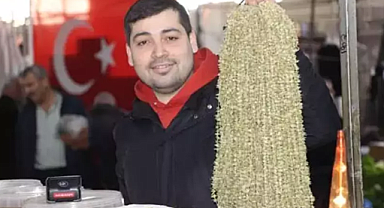 Amasya'nın Sarı Altını Çiçek Bamya: Altını Geride Bıraktı, 7/24 Alıcısı Var!