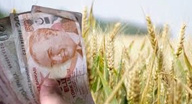 Buğday, Arpa hububat parası alacak iller listesi!