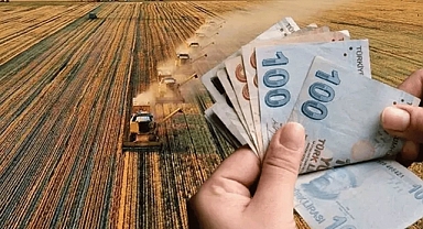 **Buğday, Arpa ve Hububat Destek Ödemeleri Hangi İllere Yapılacak?** │ **Tarım Cebimde Uygulamasında Hangi İller Görüldü?**