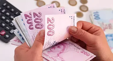 Çiftçilere müjde üstüne müjde geldi cepler para dolacak!