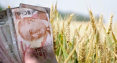 Çiftçilere ard arda duyurular geldi! Buğday, hububat, Katı Organik gübre destekleri...