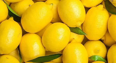 Dubai'den Geri Dönen Türk Limonları: Yasaklı Pestisit Alarmı ve Tarım Bakanlığı'nın Sıkı Denetimleri