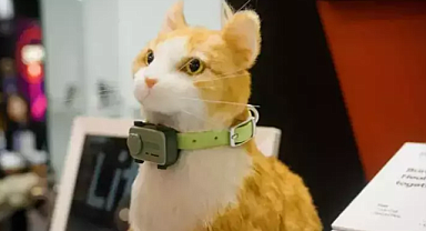 Evcil Hayvanlar İçin Devrim: PetPhone ile Minik Dostlarınız Artık Daha Güvende ve Bağlantıda!
