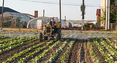 Güncel Gübre Fiyatları: 2025 En Uygun Tarım Gübre Fiyatları
