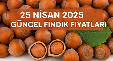 25 Nisan 2025 Güncel Fındık Fiyatları Açıklandı: Giresun’da Zirve 161 TL!