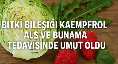 ALS ve Bunama Tedavisinde Umut olan bitki bileşeni bulundu