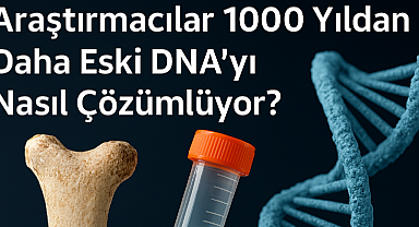 Araştırmacılar 1000 Yıldan Daha Eski DNA'yı Nasıl Çözümlüyor? Antik DNA örnekleri bilim insanlarına geçmişin sırlarını nasıl açıyor?
