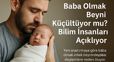 Baba Olmak Beyni Gerçekten Küçültüyor mu? Yeni bir araştırma neyi ortaya koydu?