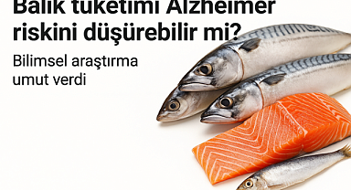 Balık Tüketimi Alzheimer Riskini Düşürebilir mi? Yeni Araştırma Umut Verdi