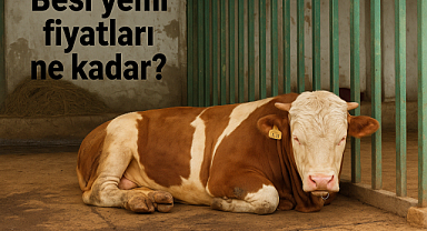 Besi Yemi Fiyatları Güncellendi: En Ucuz ve En Kaliteli Yem Hangisi?