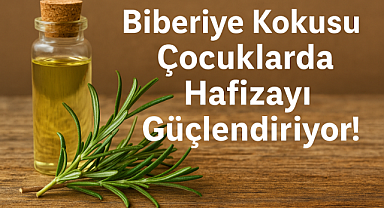 Biberiye Kokusu Çocuklarda Hafızayı Güçlendiriyor: Yeni Araştırmadan Çarpıcı Bulgular
