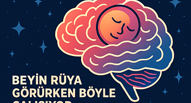 Bilim İnsanları, Beynin Rüya Görürken Nasıl Çalıştığını Ortaya Koydu