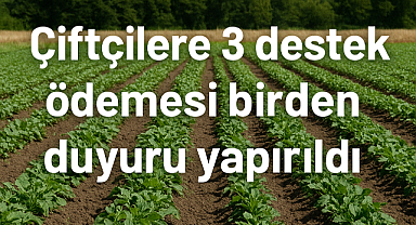 Çiftçiye 3 Destek Ödemesi Birden! Tarih verildi