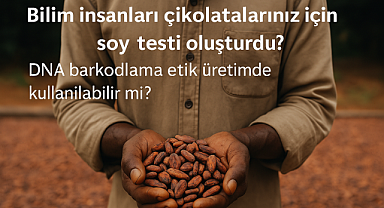Çikolatanın izi DNA ile sürülebilir mi? Bilim insanları kakao için genetik barkodlama geliştirdi