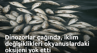 Dinozorlar Çağında Okyanuslar Nasıl Oksijenini Kaybetti? Yeni Araştırma Günümüze Karanlık Bir Ayna Tutuyor