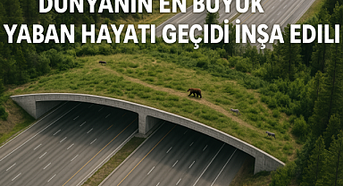Dünyanın En Büyük Yaban Hayatı Geçidi İnşa Ediliyor: Habitat Projesinde Tarihi Adım