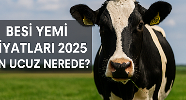 En Ucuz Besi Yemi Nerede Satılıyor? 2025 Güncel Besi Yemi Fiyatları ve Karşılaştırmalı Liste