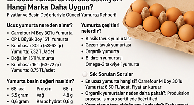 En Ucuz Yumurta Nerede Satılıyor? Hangi Marka Daha Uygun? Fiyatlar ve Besin Değerleriyle Güncel Yumurta Rehberi!