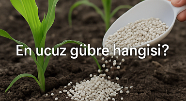Gübre fiyatlarında son durum: En ucuz gübre hangisi? Hangi marka ne kadar?