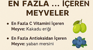 Hangi Meyve Ne Yönden Zirvede? En Fazla Vitamin, Mineral, Lif ve Su İçeren Meyveler Hangileri?