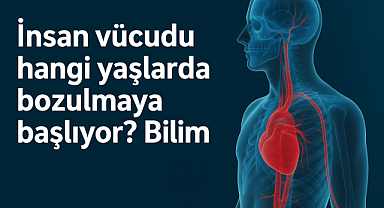 İnsan Vücudu Hangi Yaşlarda Bozulmaya Başlar? Bilimden Net Cevap