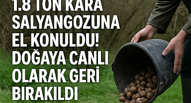 jandarma'dan nefes kesen kara salyangozu operasyonu! Belgesiz Taşınan Canlı Kara Salyangozları Doğaya İade Edildi