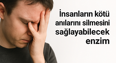 Kötü anılarınızı beyninizden silmek ister misiniz? İnsan Hafızasında Devrim: Kötü Anıları Silecek Enzim Keşfedildi