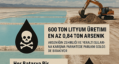 Lityum Hücumu: Dünyanın En Büyük Lityum Yatağının Madenciliğinin Anlatılmamış Etkisi