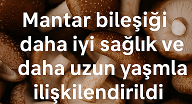 Mantar Bileşiği Ergotiyonin, Sağlıklı Yaşlanmanın Anahtarı Olabilir mi?