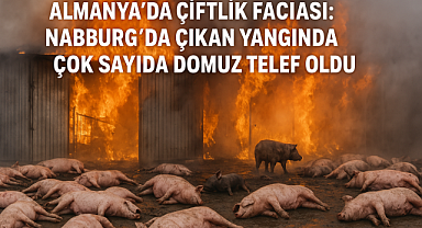 Nabburg’daki Yangında Kaç Hayvan Telef Oldu? Almanya'da Korkunç Çiftlik Faciası!