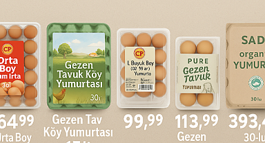 Nisan 2025 Yumurta Fiyatları: En Ucuz Yumurta Nerede Satılıyor? Yumurta Çeşitleri ve Faydaları!