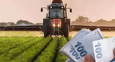 Orman Köylülerine Müjde: 70 Bin TL'ye Kadar Hibe ve Faizsiz Kredi Desteği!