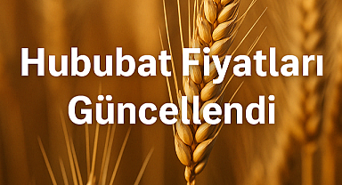 Sert buğday, ekmeklik buğday ve kırmızı mercimek fiyatları güncellendi