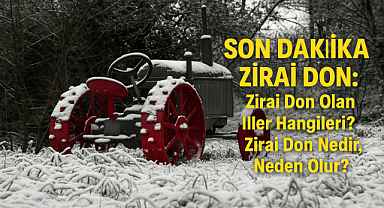 ​​​​​​​Son Dakika Zirai Don Uyarısı: Hangi İllerde Zirai Don Görüldü? Zirai Don Nedir, Neden Olur, Nasıl Önlenir?