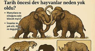 Tarih Öncesi Dev Hayvanlar Neden Yok Oldu? İnsanlar mı Avladı, İklim mi Değişti?