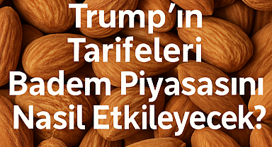 Trump'ın Tarifeleri Badem Piyasasını Nasıl Etkileyecek?