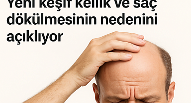 Yeni keşif kellik ve saç dökülmesinin nedenini ortaya koydu: T hücreleri saç büyümesini etkiliyor